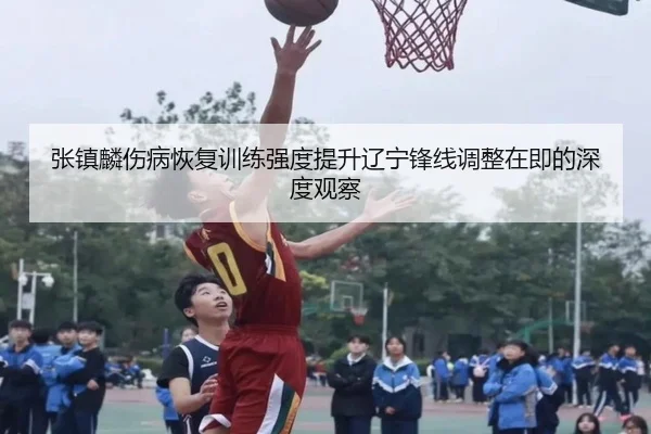 张镇麟伤病恢复训练强度提升辽宁锋线调整在即的深度观察